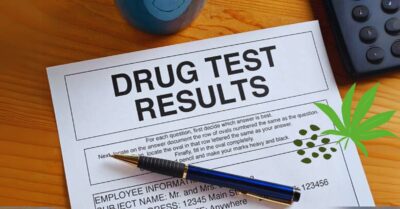 Drug Tests and CBD